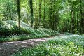 Springtime in Monaghan 2013 (7)